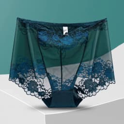 lingerie sexy underwear women ropa mujer plus size high waist hollow mesh seamless panties briefs se