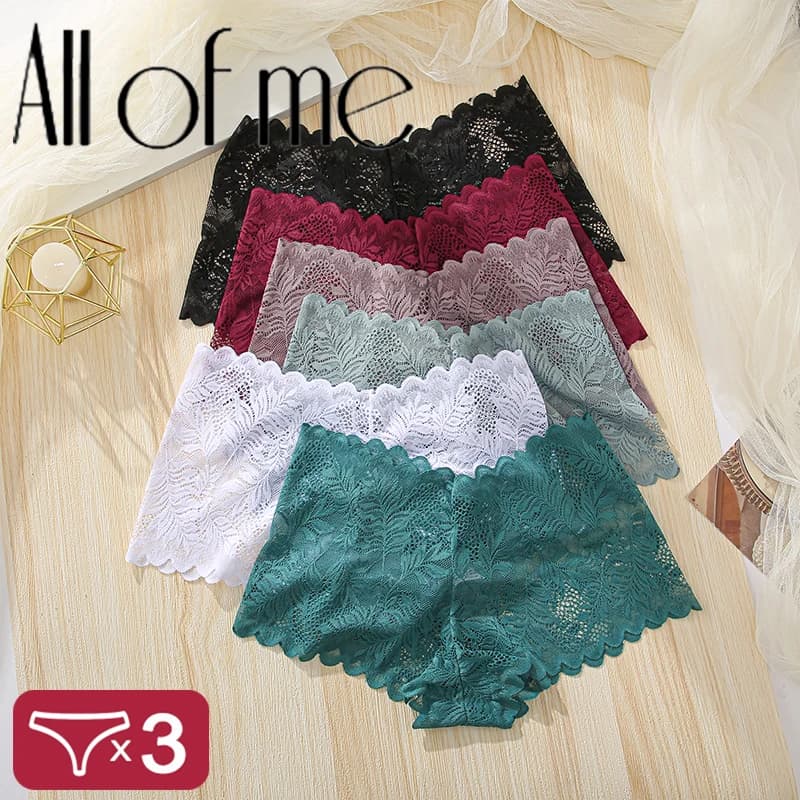 3ks dámské kalhotky sexy krajkové dámské kalhotky plus velikosti spodní prádlo velké velikosti lehké bezešvé kalhotky s nízkým pasem prodyšné