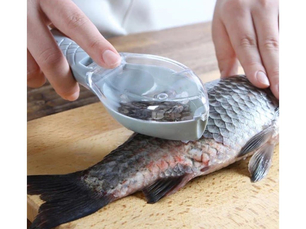 Nůž na ryby k odstranění šupin