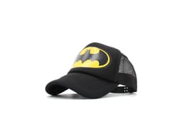 1248_D_tsk___epice_se_s__kou_Batman_MAIN