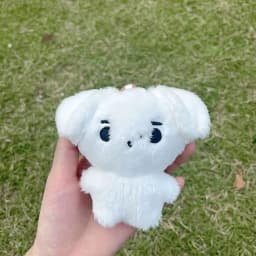 Kpop plyšová klíčenka s přívěskem plněného zvířátka s přívěskem Kawaii, kreslený taška, kouzlo, sběratelský dárek - náhled 6